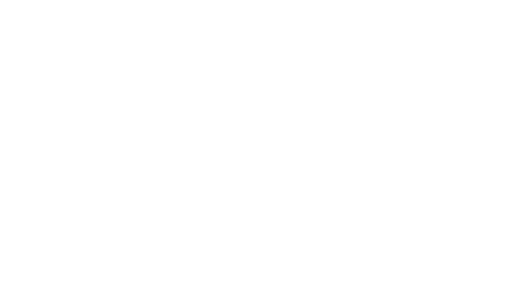 pinak logo copy